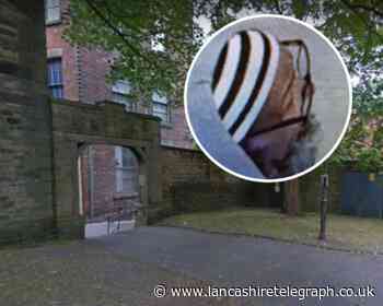 Blackburn: Lone women targeted by groper