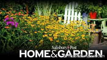 2022 Rowan Master Gardener Class now accepting applications - Salisbury Post - Salisbury Post