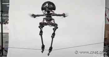 See a flying bipedal robot work a slackline and skateboard like it's nothing     - CNET