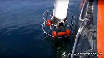 Rilevati nuovi organismi nelle acque dell'arco alpino - TrentoToday