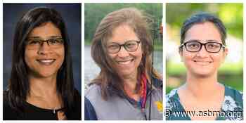 Kadakia named interim vice provost; UMich honors Benore, Verma's group - American Society for Biochemistry and Molecular Biology