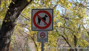 Proposal to allow pets on leashes in a Saskatoon park passes first hurdle