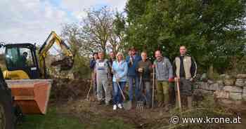 Historisches Bauwerk - Mauer für Eidechsen und Schlangen von Erde befreit - Kronen Zeitung
