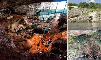 Stunning Stone Age rock art including a depiction of a bird is discovered in Italy