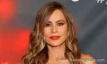 Sofia Vergara stuns in revealing lace lingerie as she announces exciting news - HELLO!