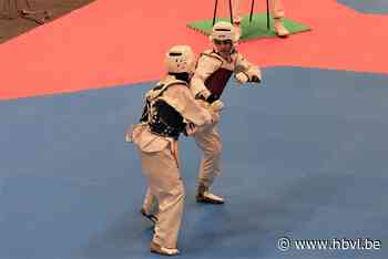10 podiumplaaten voor Taekwondo Dongji op internationaal tornooi. - Het Belang van Limburg