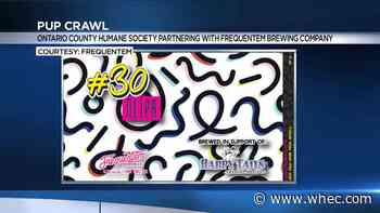 Ontario County Humane Society and Frequentem Brewing Co. holding 'pup crawl'