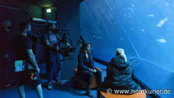 Jubiläumsfolge: Hier dreht das ZDF den 20. Stralsund-Krimi | Nordkurier.de - Nordkurier