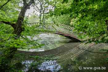 Beheerplan Schildehof: meer orde en leven in park zonder vleermuizen op te schrikken - Gazet van Antwerpen