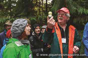 Naturespeak: Whistler naturalist Bob Brett reviews Mushrooms of British Columbia - Pique Newsmagazine