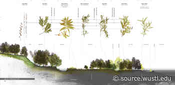 Huang, Whitaker win national landscape architecture honors - The Source - Washington University in St. Louis - Washington University in St. Louis Newsroom