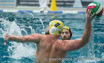 Endlich wieder Zweitligawasserball: gelungene Vorbereitung der ASC-Männer in Chemnitz - Meetingpoint