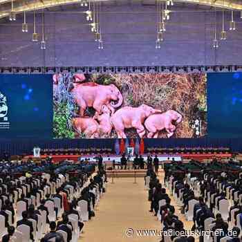 Deutschland will resoluten Kampf gegen Artensterben - radioeuskirchen.de