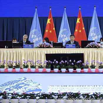 Weltgemeinschaft will Schutz der Artenvielfalt verbessern - radioeuskirchen.de