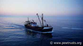 Tuna Fishing and Retail Groups Join Pew in Encouraging Ratification of Crew Safety Treaty - The Pew Charitable Trusts