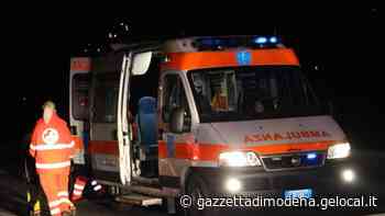 Sassuolo, donna muore sbranata da due cani - La Gazzetta di Modena