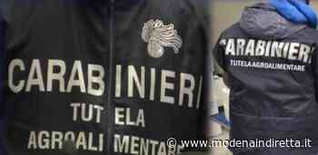 Modena, cotechini e salumi con marchi tutelati contraffatti: maxi sequestro - modenaindiretta.it
