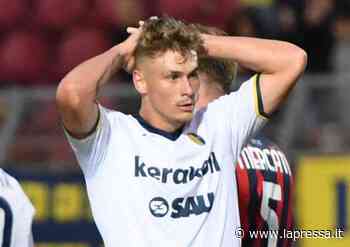 Modena, l'Aquila Montevarchi artiglia e sbrana un canarino - La Pressa