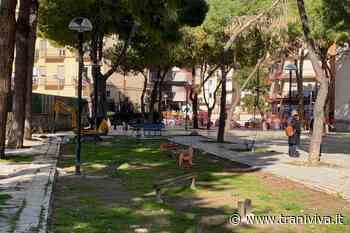 La "storia infinita" della pinetina di via Andria - TraniViva