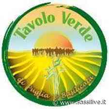 Elezioni Comunali a Pisticci, ballottaggio Albano-Di Trani, appello di Tavolo Verde Basilicata agli elettori. - Sassilive.it
