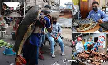 More than 200 species from the Amazon rainforest are being illegally sold in Peru