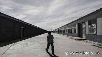 This is the true scale of China’s bitcoin exodus