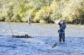 PHOTOS: Fall fishing on the Puntledge River in Courtenay – Comox Valley Record - Comox Valley Record