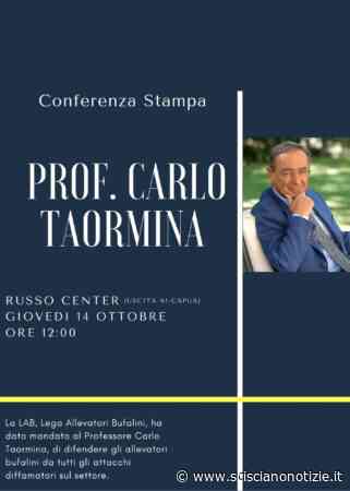 Capua, brucellosi. Lega allevatori bufalini ingaggia Taormina: giovedì conferenza stampa - Scisciano Notizie ILMONITO