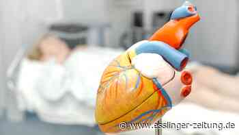 Gesund leben 2021 - medius KLINIK OSTFILDERN-RUIT als Heart Failure Unit-Schwerpunktklinik ausgezeichnet - esslinger-zeitung.de