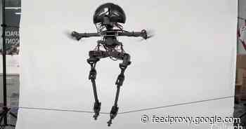 See a bipedal robot work a slackline and a skateboard like it's nothing     - CNET