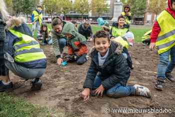 Kinderen helpen mee om met 34.650 bloembollen De Coninckplein meer kleur te geven