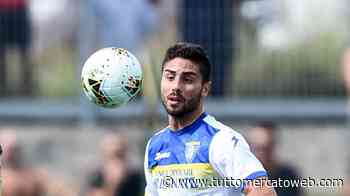 Ternana, Capuano: "Calendario difficile, ma abbiamo fatto punti con Parma e Monza" - TUTTO mercato WEB