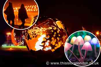 Light show at Surrey estate this autumn