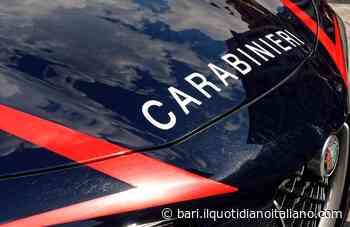 Femminicidio a Manduria: anziano uccide la convivente 75enne e tenta il suicidio - Il Quotidiano Italiano - Bari