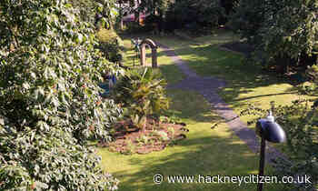 Hoxton charity to plant orchard of fruit trees for community’s most in need