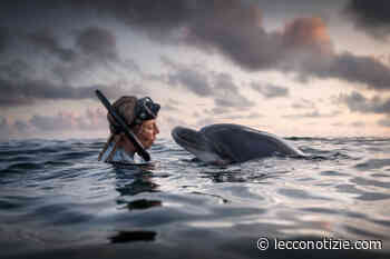 Al cinema Palladium di Lecco arriva l'Ocean Film Festival - Lecco Notizie