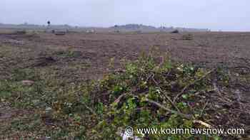 NWS team: EF-0 tornado in Jasper County crossed into Barton County - KoamNewsNow.com