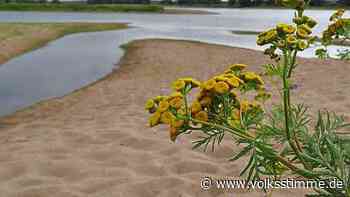 Vier-Länder-Projekt „Elbe Valley“ bei Seehausen wird mit 8 Millionen Euro gefördert - Volksstimme