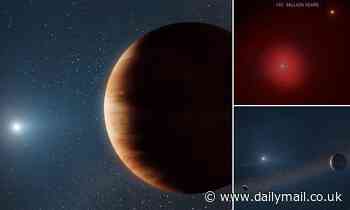 Huge Jupiter-sized planet is discovered orbiting a dead star