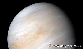Venus' surface may have NEVER been cool enough for oceans, climate model suggests
