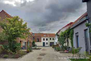 Borgerhout gaat stapje verder in ontharding en vergroening