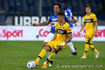 Belgen moeten Parma mee naar de Serie A loodsen: &quot;Het komt allemaal wel goed&quot;