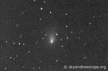 How Bright Will Comet Leonard Get?