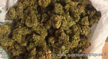 Enna, donna trovata con oltre 1 kg di marijuana - Quotidiano di Ragusa - Quotidiano di Ragusa
