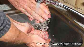 Wasserpreise in Egenhausen: Gemeinderat beschließt Erhöhung