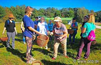 Kräuterwanderung: Wertvolles von Wiesen und Sträuchern - Passauer Neue Presse