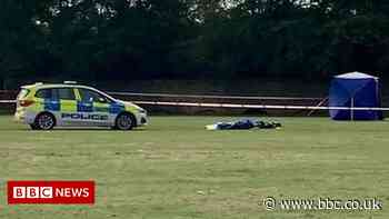 Twickenham teenager stabbed to death on playing field