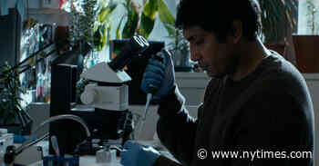 ‘Son of Monarchs’ Review: Of Butterflies and Belonging