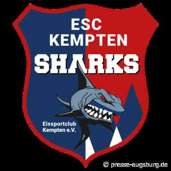 Kempten Sharks feiern nach Sieg über Ulm/Neu-Ulm ein Sechs-Punkte-Wochenende | Presse Augsburg - Presse Augsburg