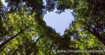 Why the proposed changes to Forest Conservation Act is alarming - Times Now